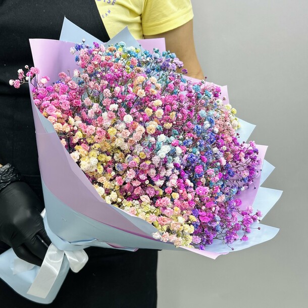 Разноцветная гипсофил 5 шт