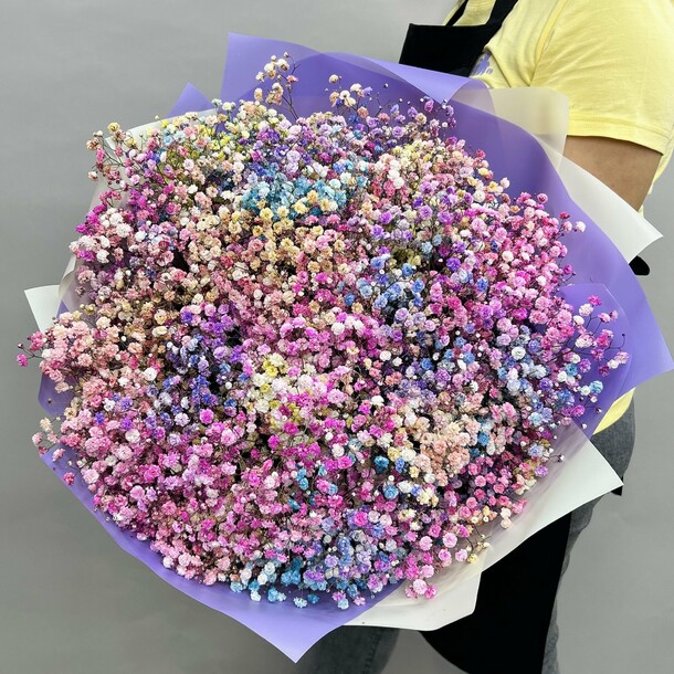 Букет живых цветов из разноцветных гипсофил 25 шт