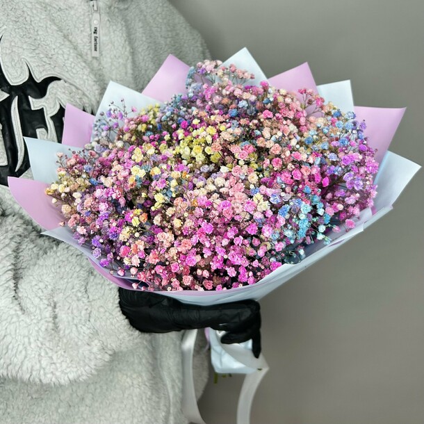 Букет живых цветов из разноцветных гипсофил 7 шт