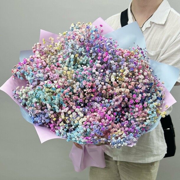 Букет живых цветов из разноцветных гипсофил 15 шт