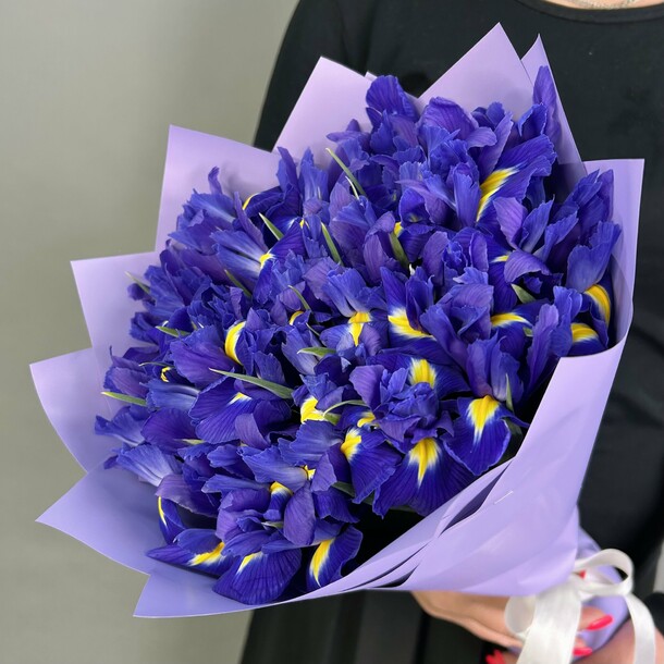 Ирисы 25 шт