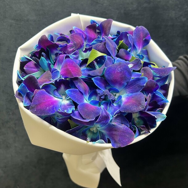 Космические орхидеи L 2