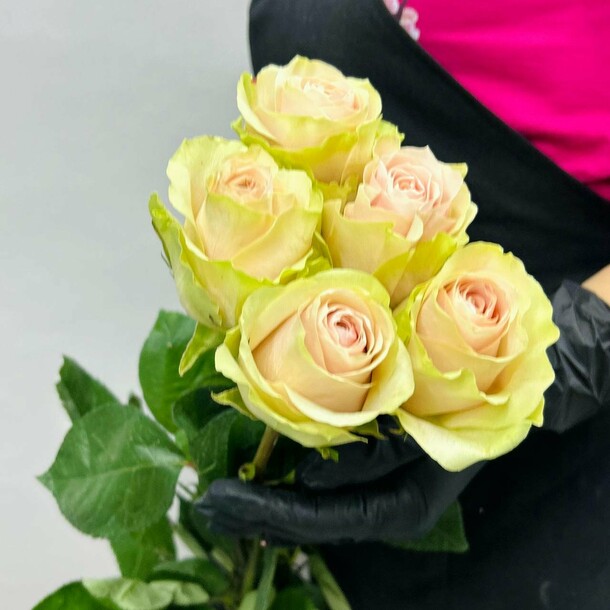 Букет живых цветов из нежно розовых эквадорских роз