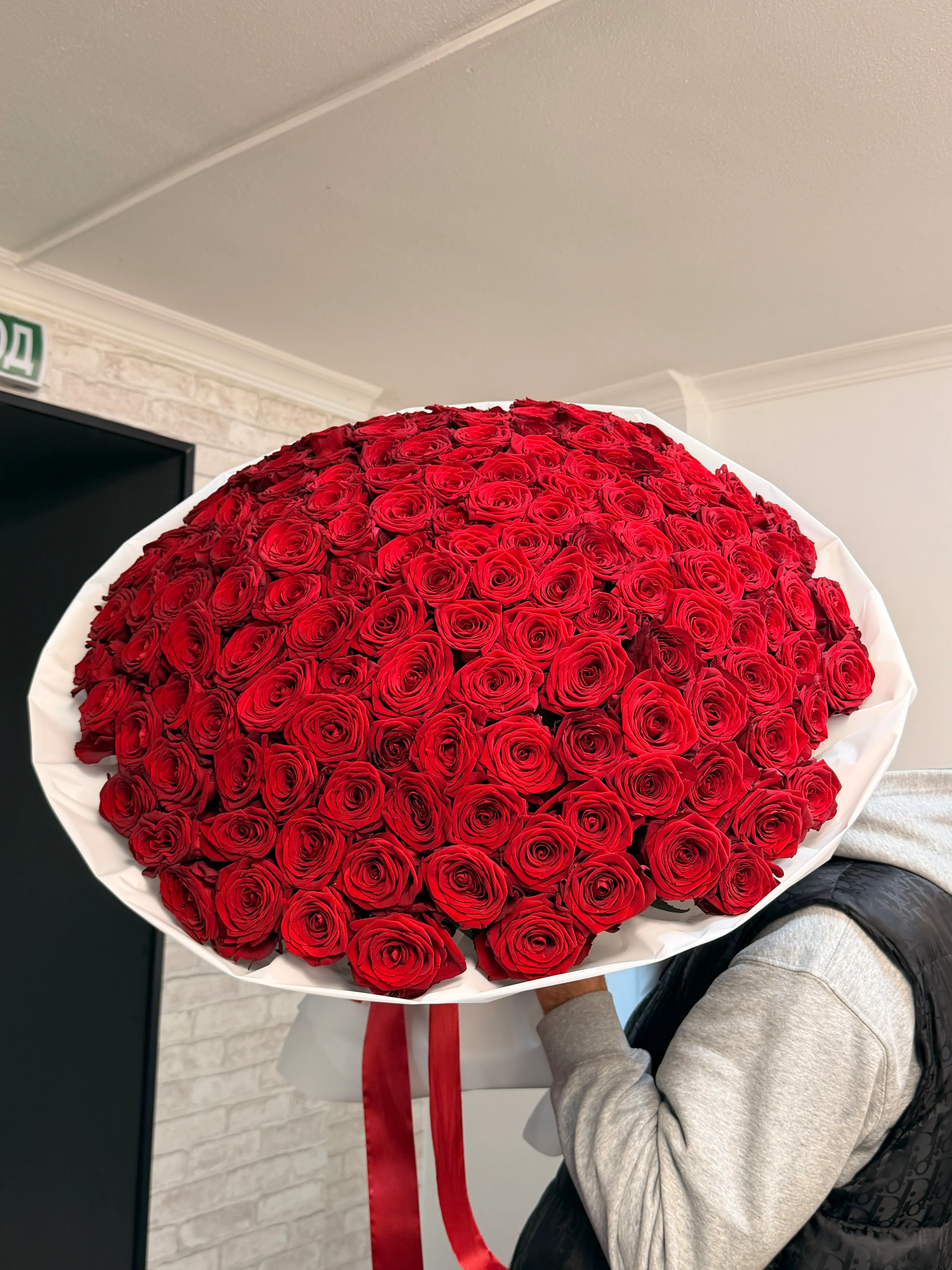 красные розы 151 шт