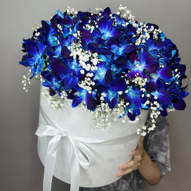 Букет живых цветов из космических орхидей "75шт" в коробке с гипсофилой